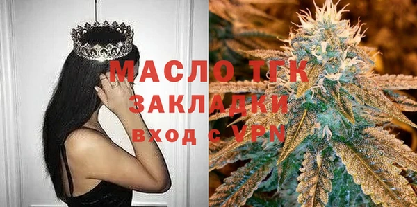 эйфоретик Вяземский