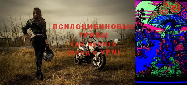 прущий лед Вязьма