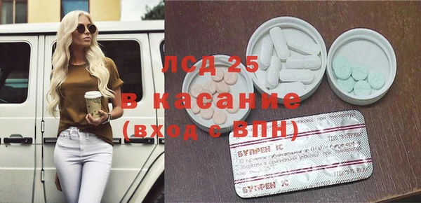 эйфоретик Вяземский