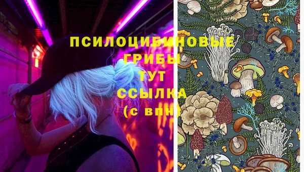 бутират Вязники