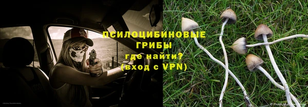 эйфоретик Вяземский