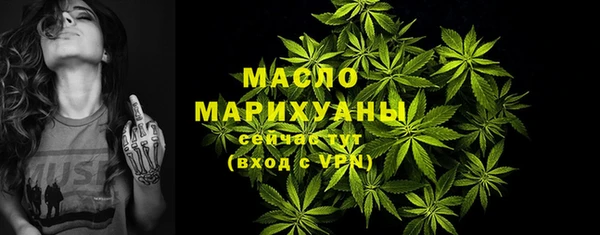 эйфоретик Вяземский